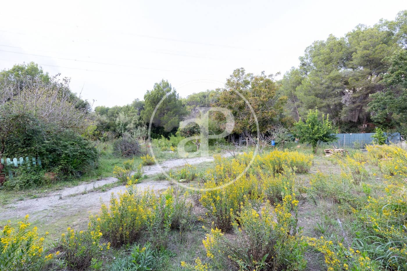 Grond te koop in Rubi - € 830.000 (Ref: 9330620)