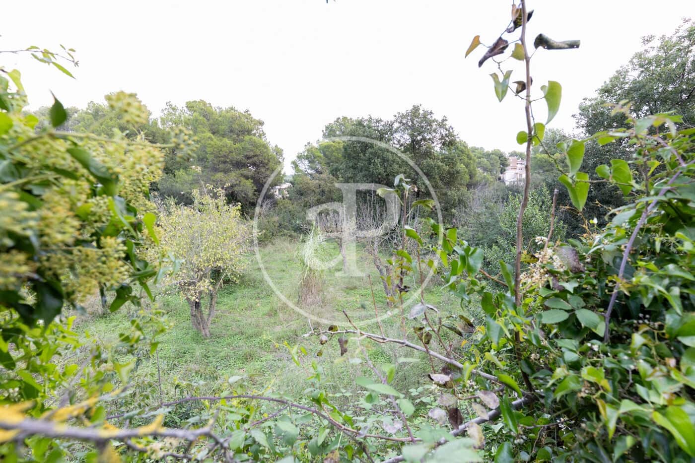 Grond te koop in Rubi - € 830.000 (Ref: 9330620)