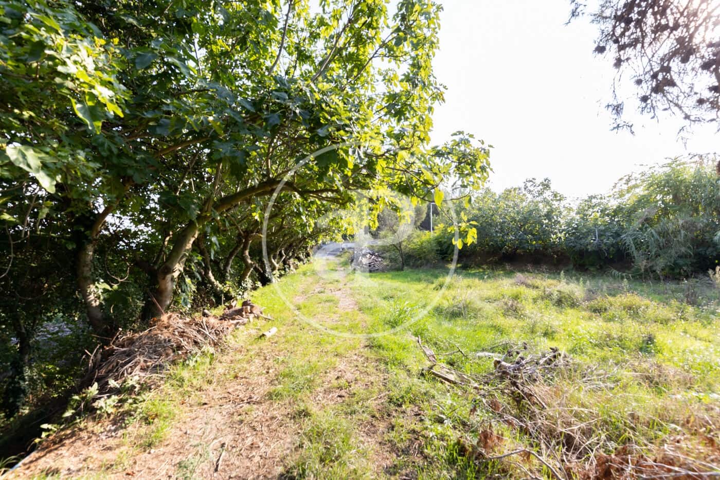 Grond te koop in Rubi - € 830.000 (Ref: 9330620)