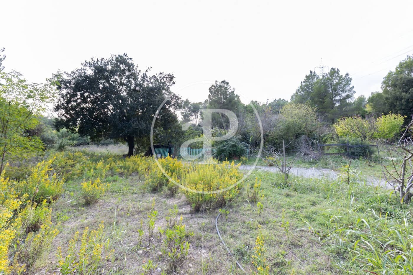 Grond te koop in Rubi - € 830.000 (Ref: 9330620)