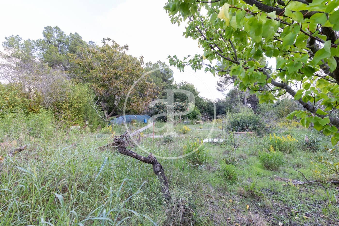 Grond te koop in Rubi - € 830.000 (Ref: 9330620)