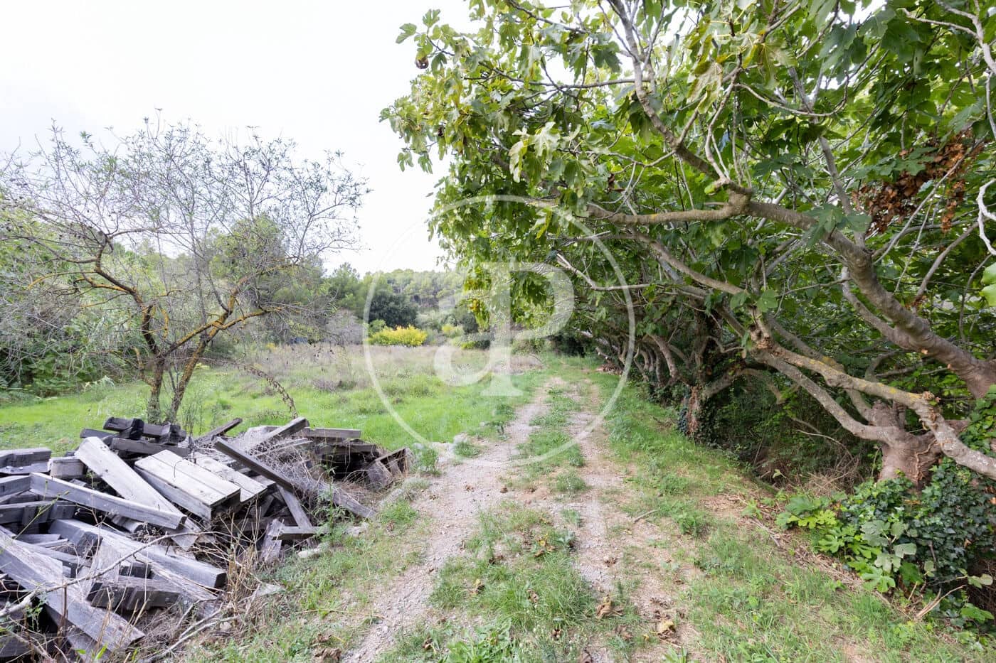 Grond te koop in Rubi - € 830.000 (Ref: 9330620)