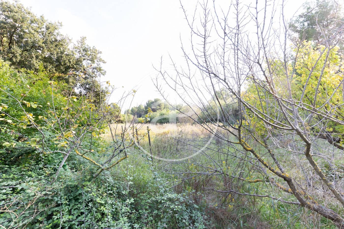 Grond te koop in Rubi - € 830.000 (Ref: 9330620)