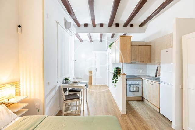 Apartamento de 1 habitación en El Raval, Barcelona ciudad en alquiler - 1.190 € (Ref: 9452104)