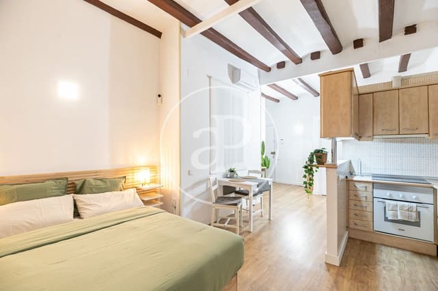 Apartamento de 1 habitación en El Raval, Barcelona ciudad en alquiler - 1.190 € (Ref: 9452104)