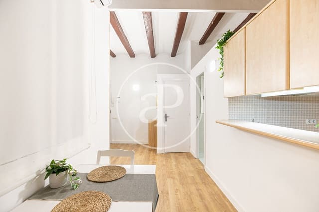 Apartamento de 1 habitación en El Raval, Barcelona ciudad en alquiler - 1.190 € (Ref: 9452104)