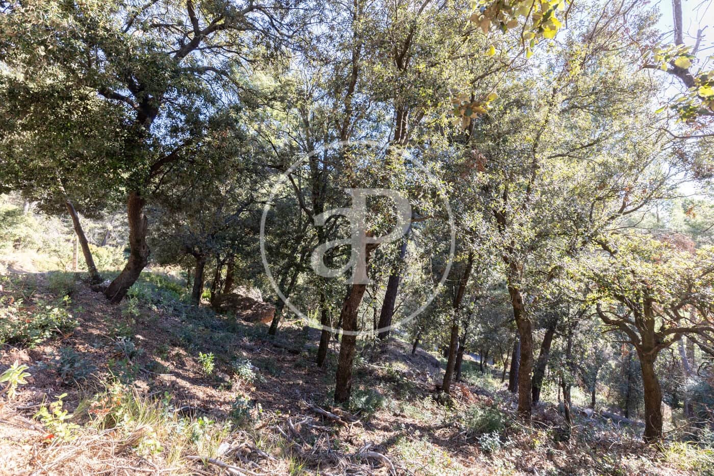 Terreno Não Urbanizado para venda em Matadepera - 260 000 € (Ref: 9530510)