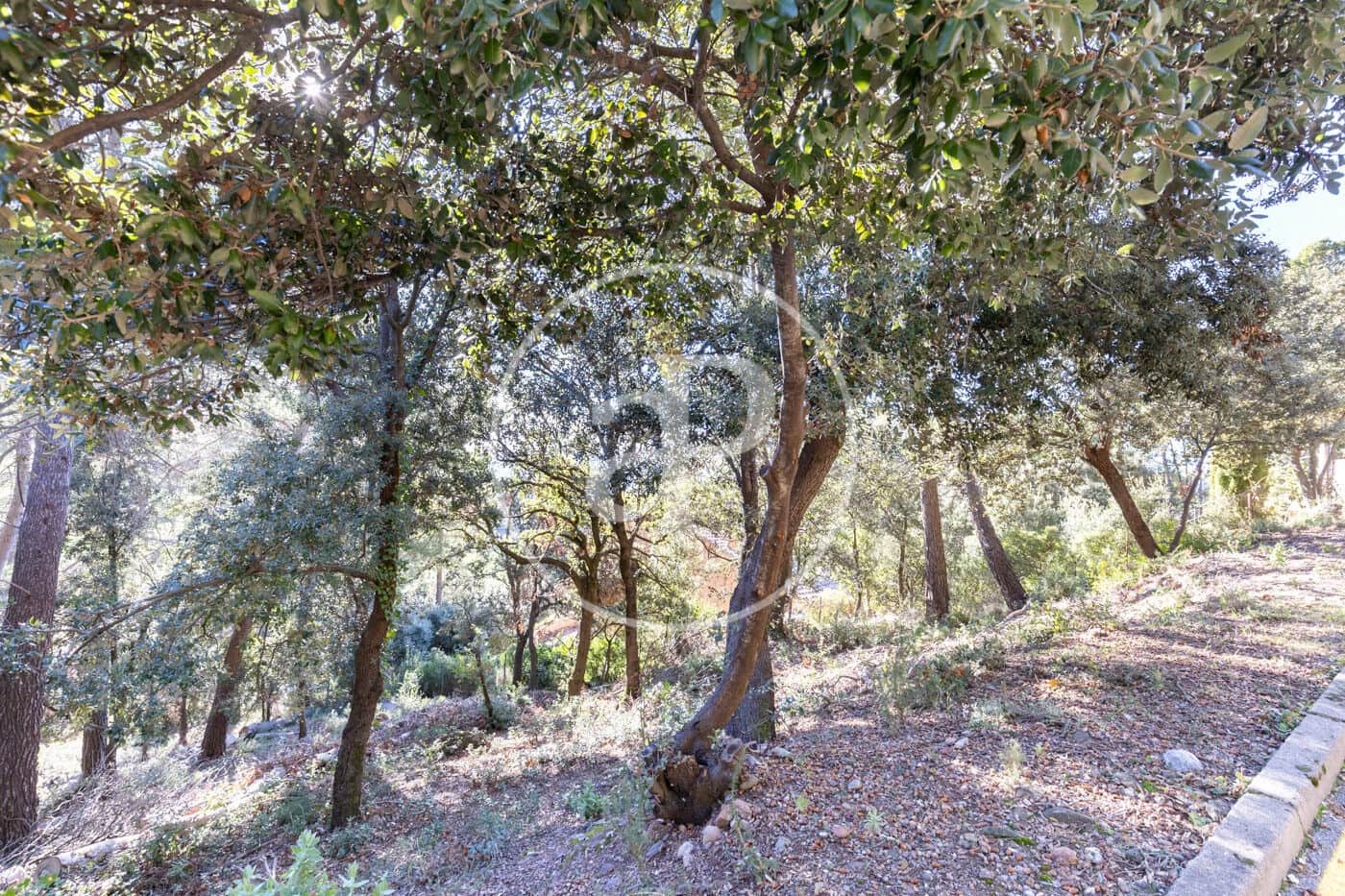 Terreno Não Urbanizado para venda em Matadepera - 260 000 € (Ref: 9530510)