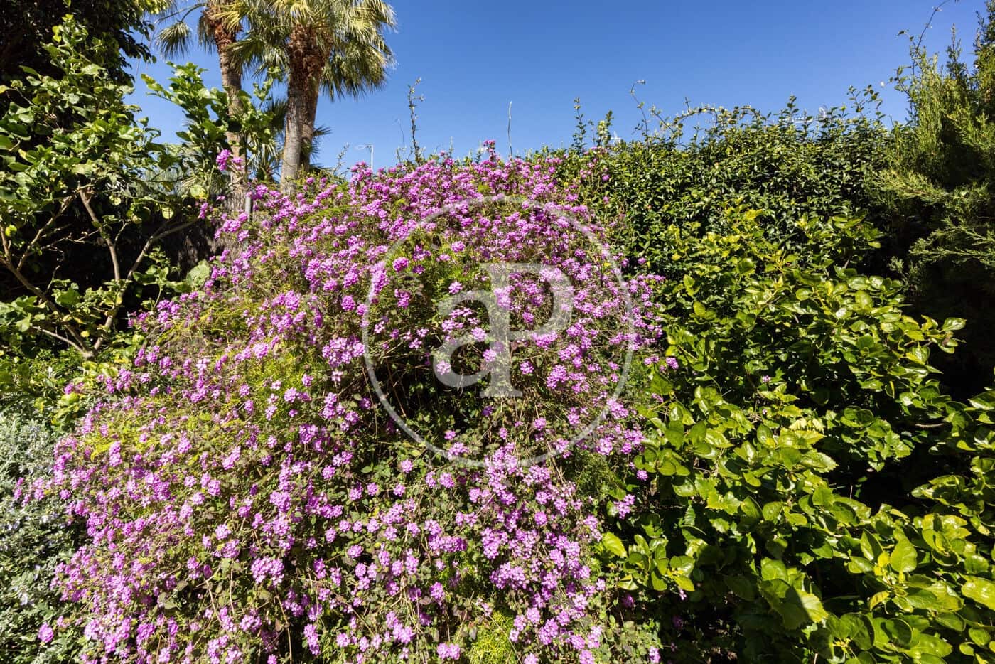 5 makuuhuone Huvila myytävänä paikassa Premia de Mar mukana uima-altaan - 880 000 € (Ref: 9690586)