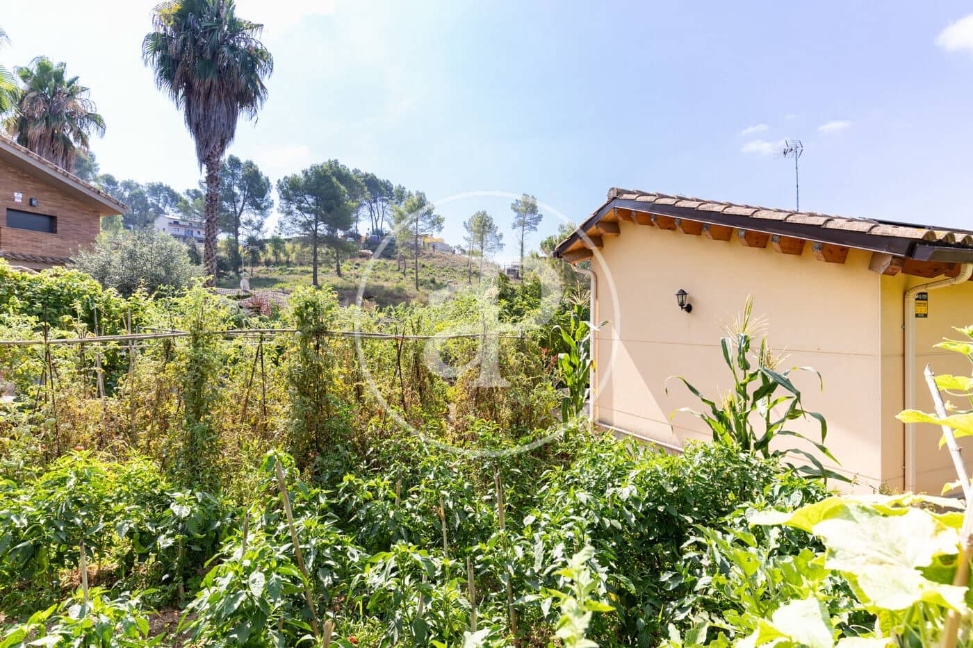 4 quarto Moradia para venda em Rubi com garagem - 598 000 € (Ref: 9999621)