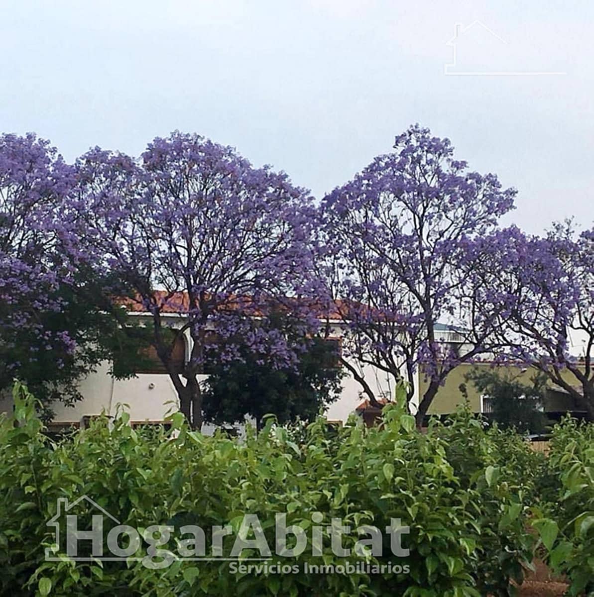 4 soveværelse Villa til salg i Carcaixent med swimmingpool garage - € 650.000 (Ref: 8480762)