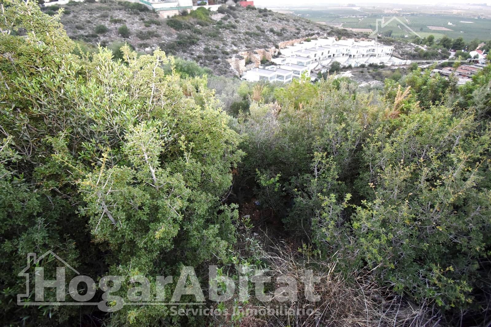 Byggegrund til salg i Chiva - € 39.900 (Ref: 9132443)