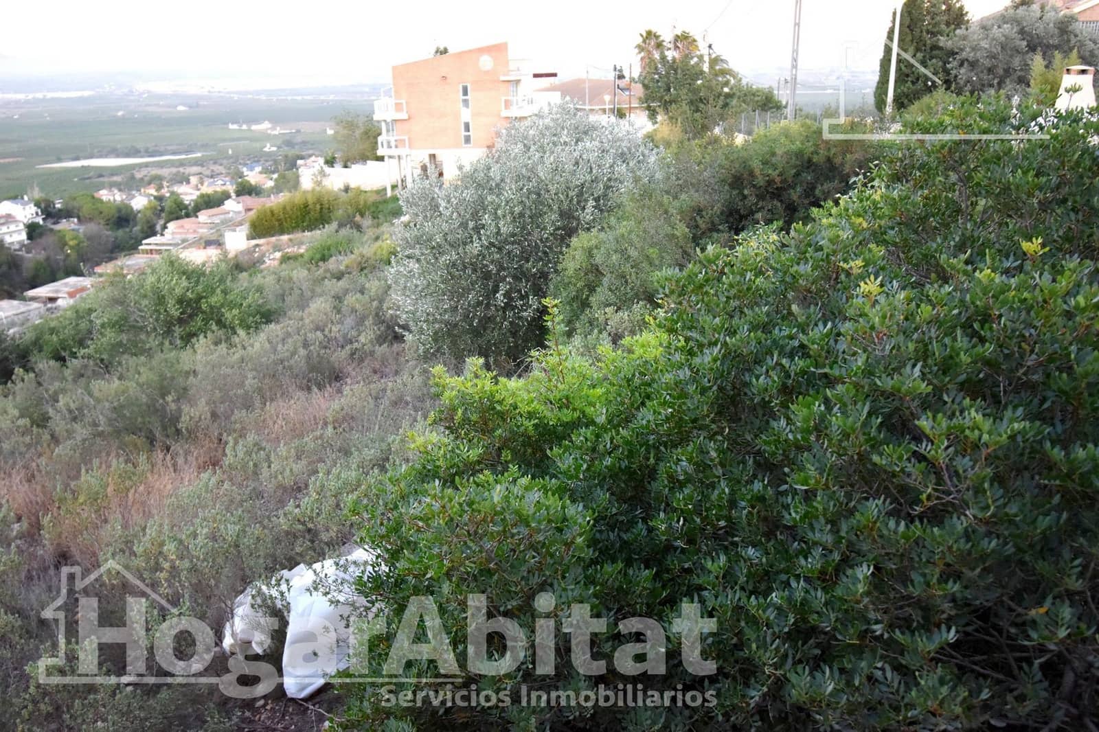 Byggegrund til salg i Chiva - € 39.900 (Ref: 9132443)