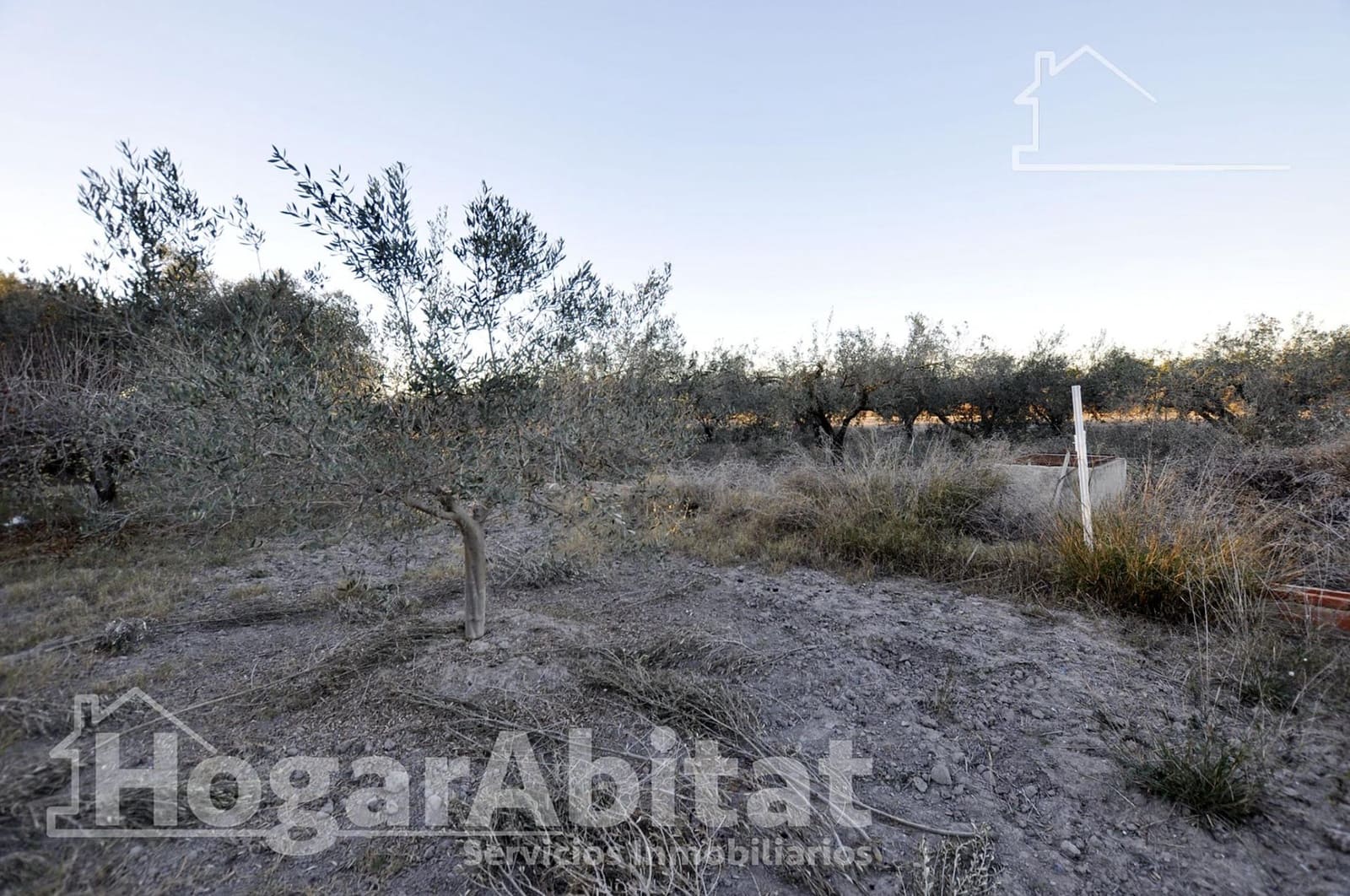 Chalet de 4 habitaciones en Sagunto / Sagunt en venta con piscina garaje - 490.000 € (Ref: 9451056)