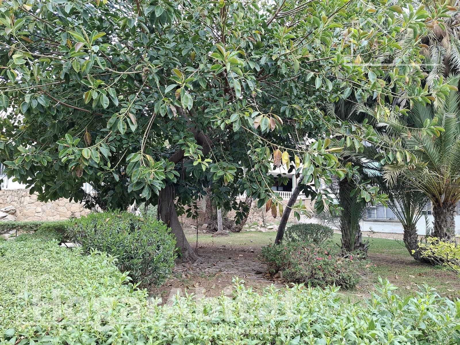 3 makuuhuone Asunto myytävänä paikassa Alicante kaupunki - 130 000 € (Ref: 9712028)