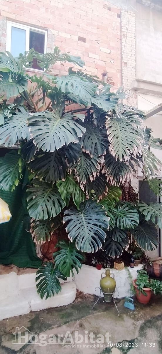 4 sypialnia Dom na sprzedaż w Antella - 150 000 € (Ref: 9794727)