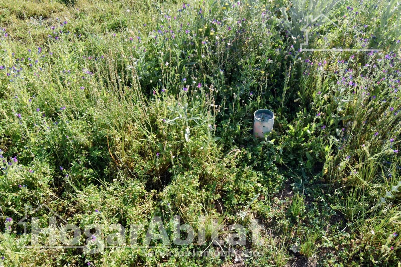 Building Plot for sale in Chilches - € 48,500 (Ref: 9839305)