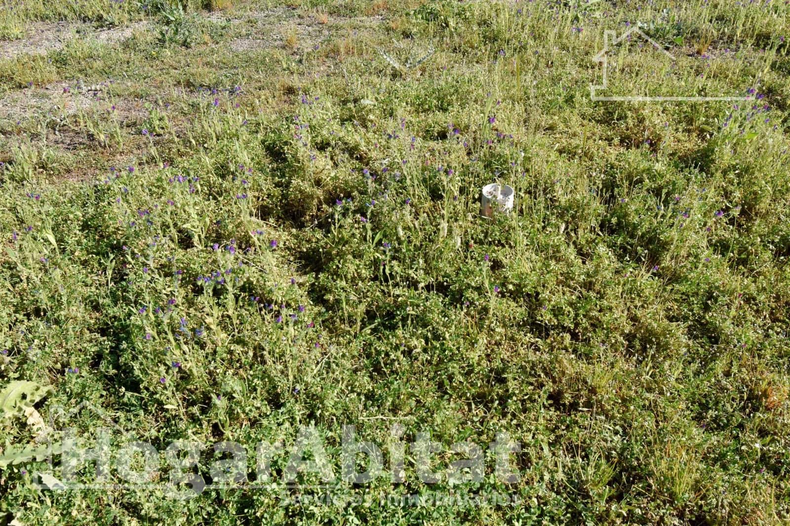 Building Plot for sale in Chilches - € 48,500 (Ref: 9839305)