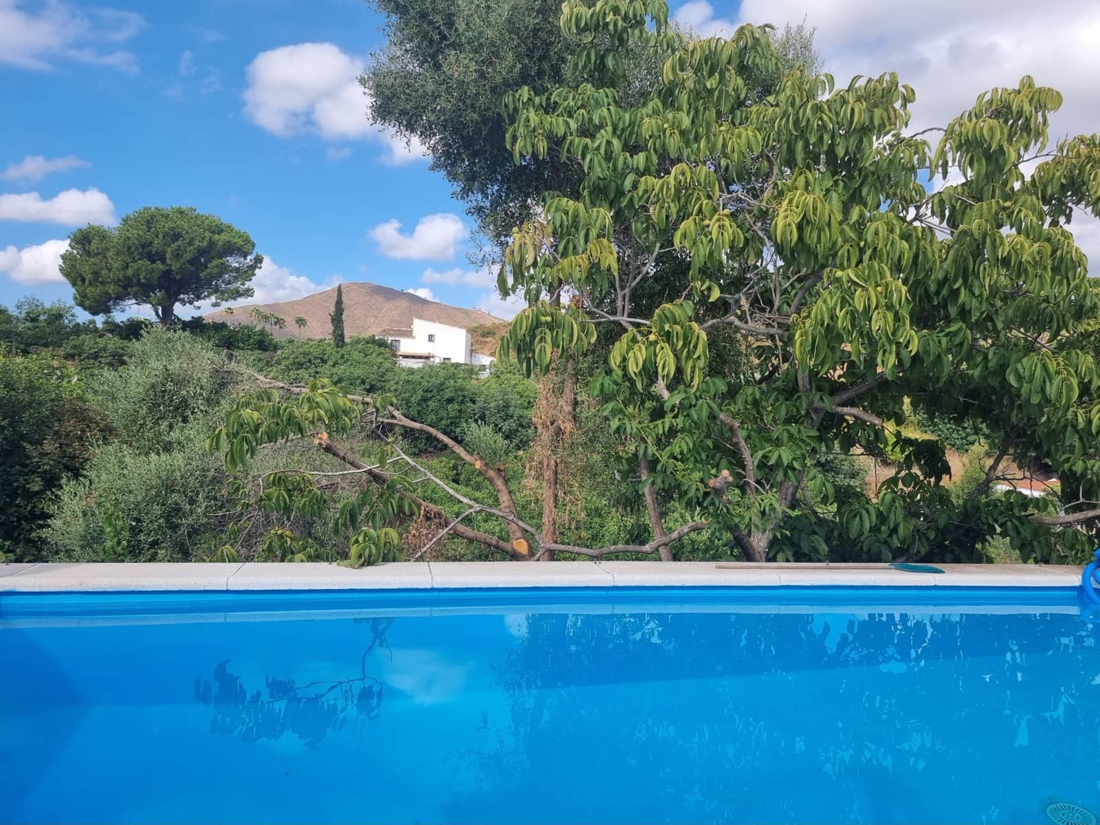 2 quarto Quinta/Casa Rural para venda em Mijas Costa com piscina - 449 000 € (Ref: 10030038)