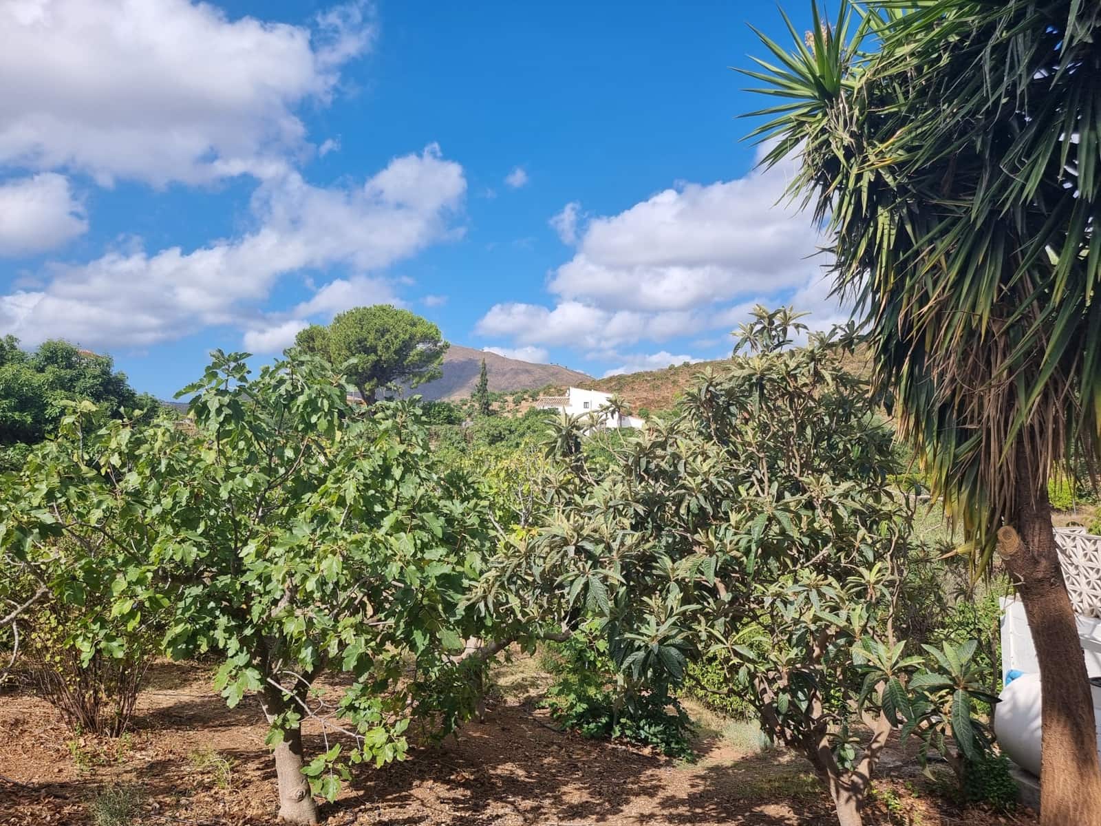 2 quarto Quinta/Casa Rural para venda em Mijas Costa com piscina - 449 000 € (Ref: 10030038)