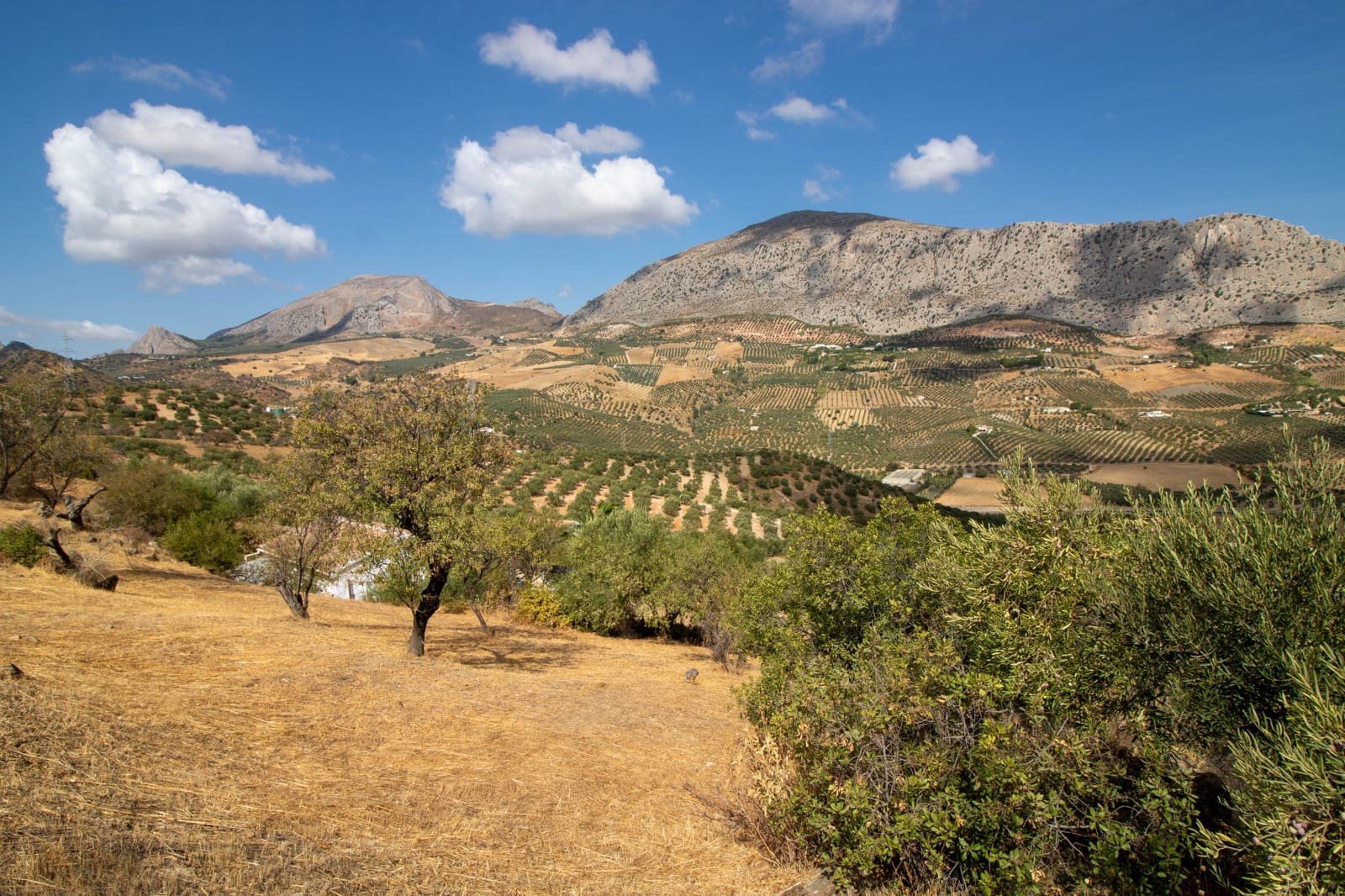 Finca/Casa Rural de 2 habitaciones en Alora en venta - 250.000 € (Ref: 10123441)