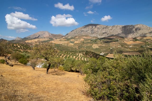 Finca/Casa Rural de 2 habitaciones en Alora en venta - 250.000 € (Ref: 10123441)