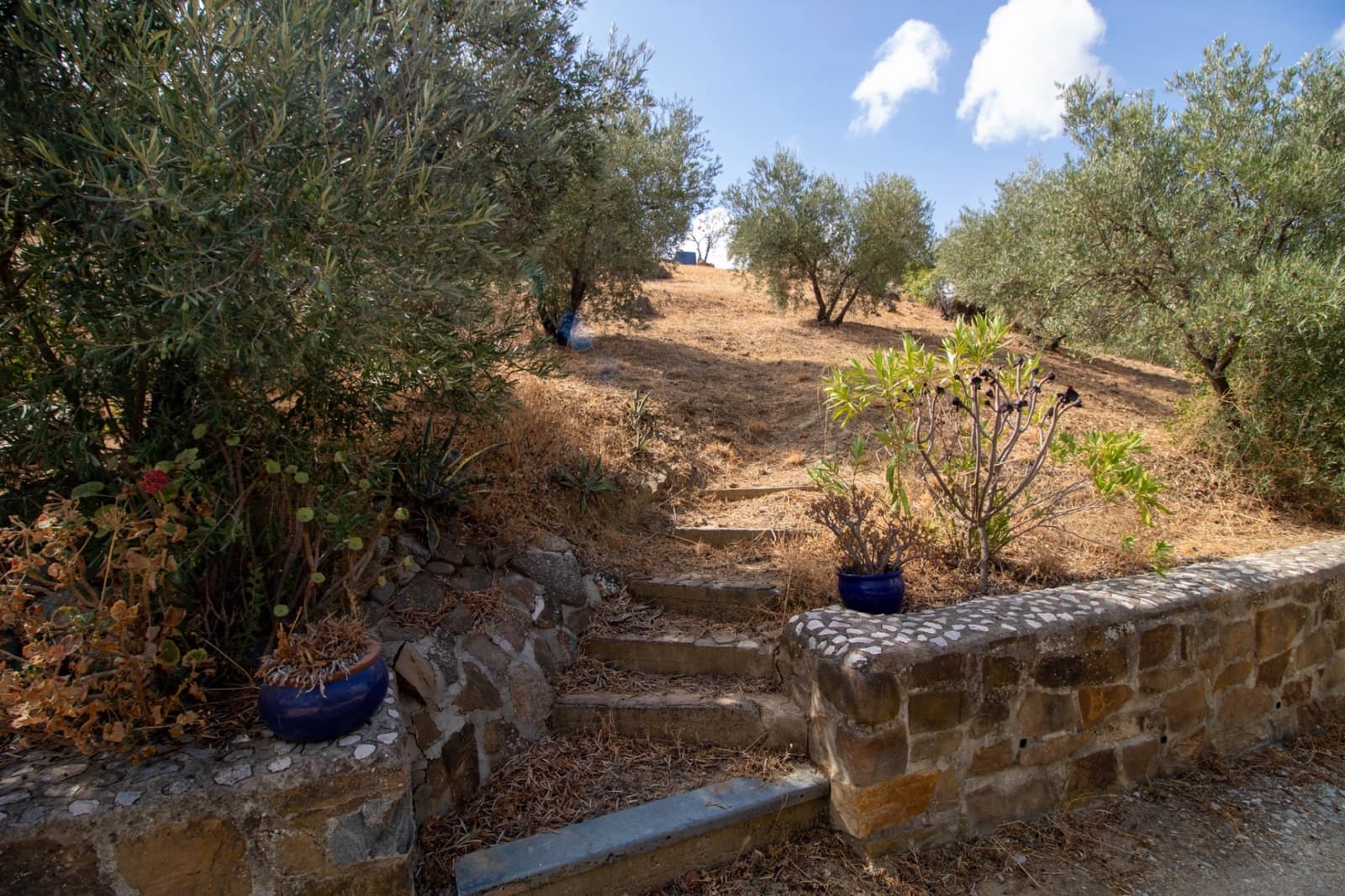 Finca/Casa Rural de 2 habitaciones en Alora en venta - 250.000 € (Ref: 10123441)