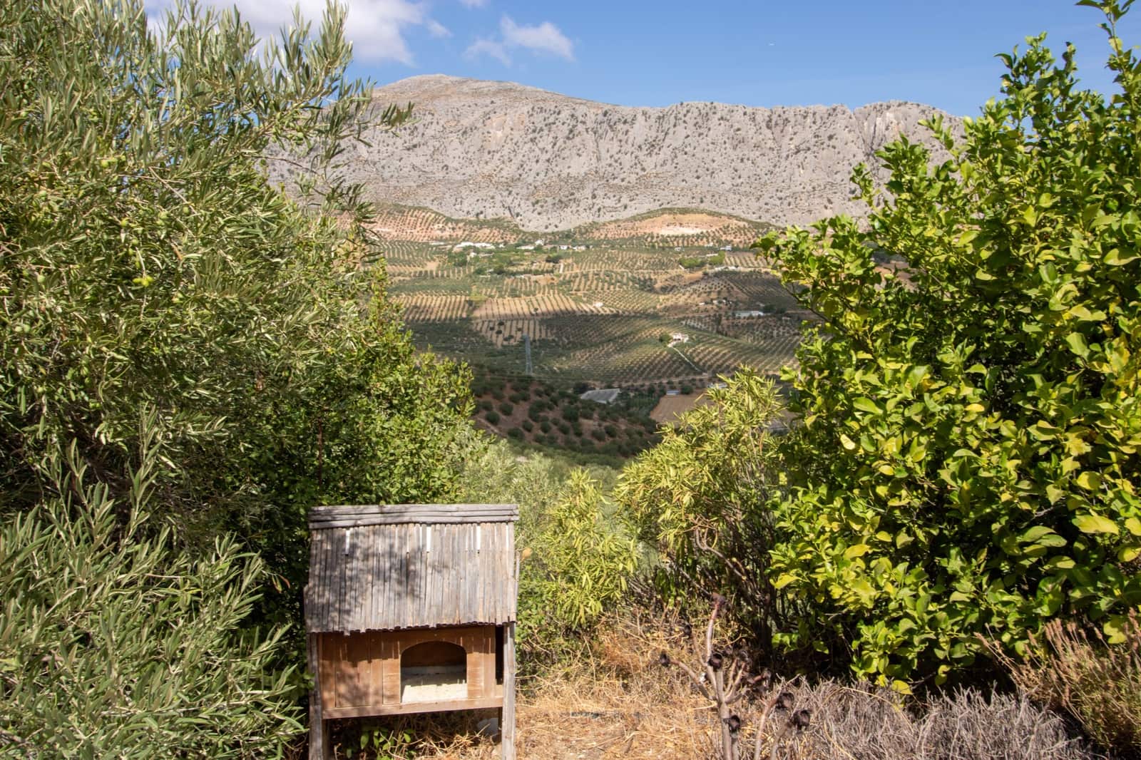 Finca/Casa Rural de 2 habitaciones en Alora en venta - 250.000 € (Ref: 10123441)