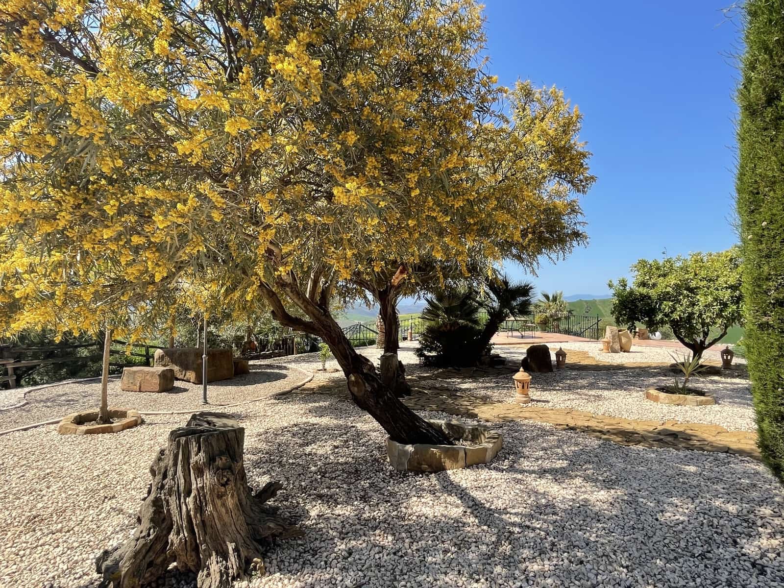 4 soverom Villa til salgs i Villanueva de la Concepcion med svømmebasseng garasje - € 1 690 000 (Ref: 10127693)
