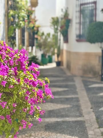 Komercyjne na sprzedaż w Estepona - 499 000 € (Ref: 9413674)