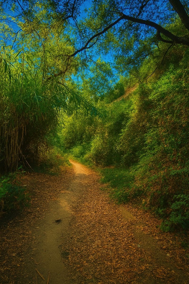 4 makuuhuone Huvila myytävänä paikassa Benahavis mukana uima-altaan 
autotalli - 679 000 € (Ref: 9419164)