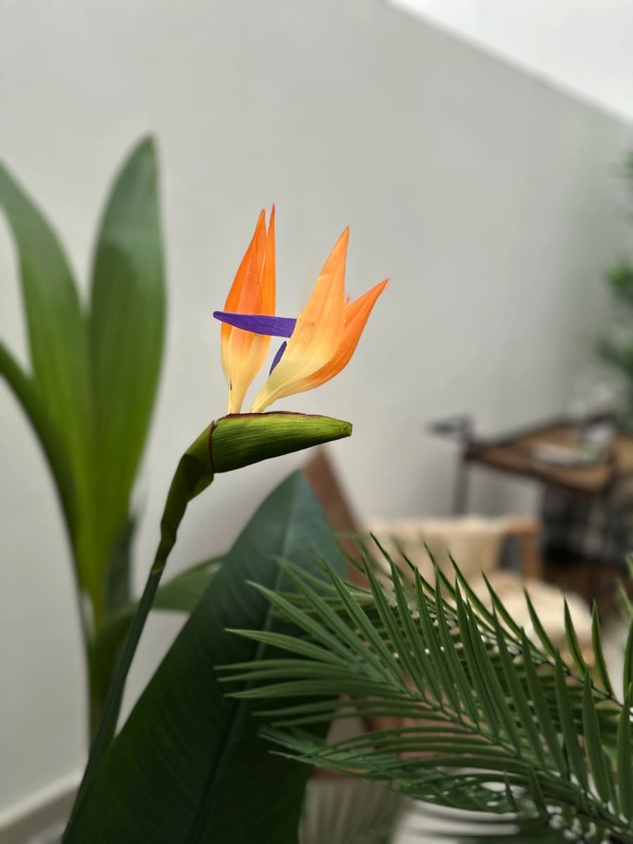 Apartamento de 2 habitaciones en Estepona en venta con piscina garaje - 575.000 € (Ref: 9581605)