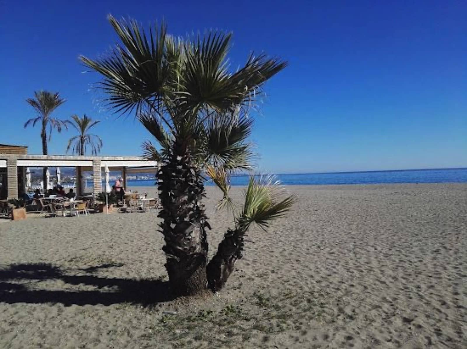 2 bedroom Townhouse for sale in Guadalmina with pool garage - € 689,000 (Ref: 9636478)