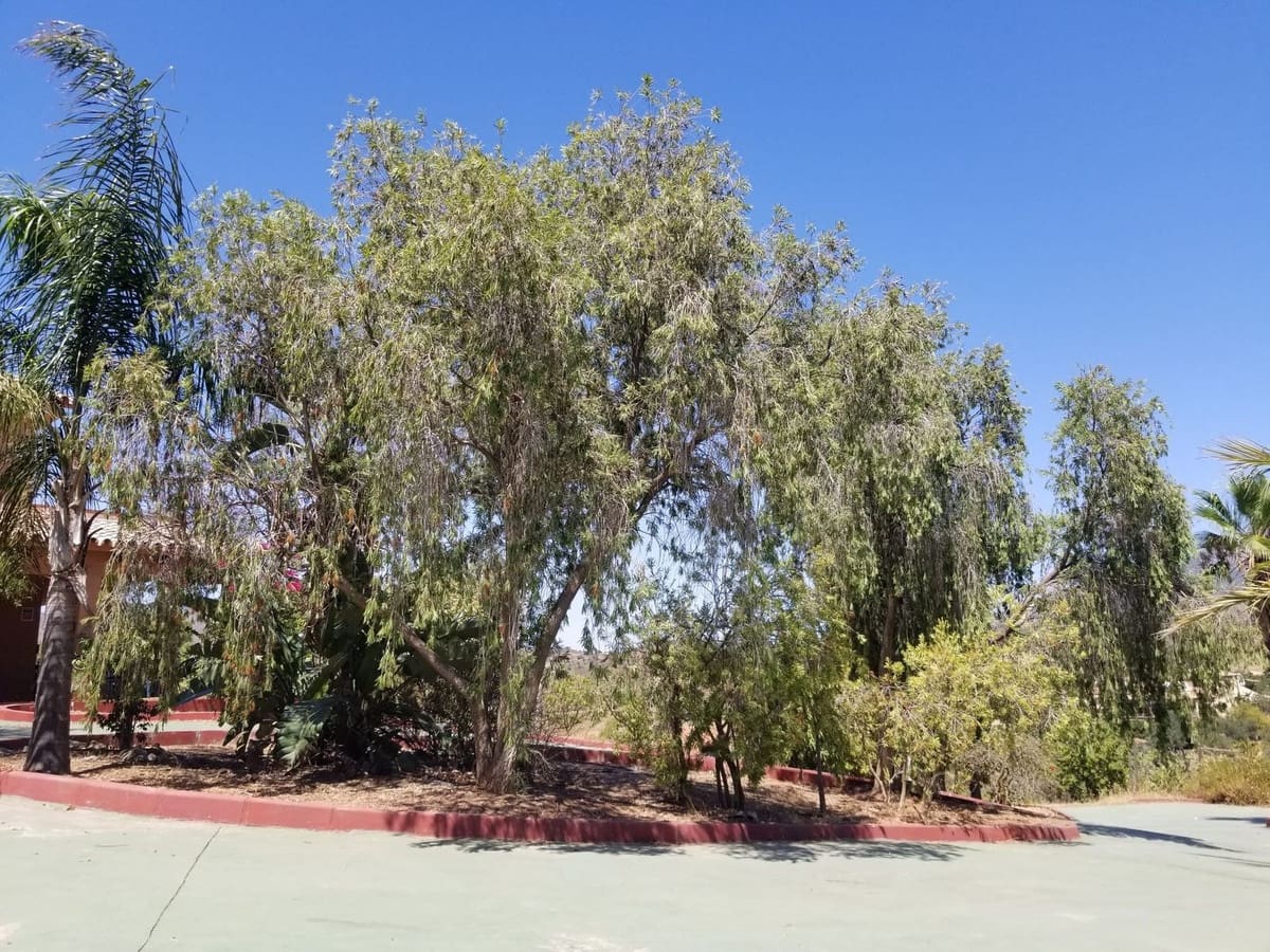 4 soveværelse Finca/Landehus til salg i Mijas Costa med swimmingpool garage - € 1.195.000 (Ref: 9851531)