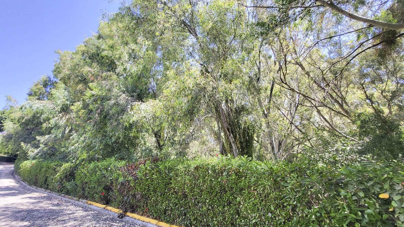 2 quarto Apartamento para venda em Calahonda com piscina - 375 000 € (Ref: 9884027)