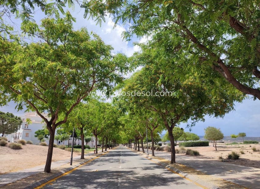 2 chambre Appartement à vendre à Hacienda Riquelme avec piscine - 169 995 € (Ref: 10007484)