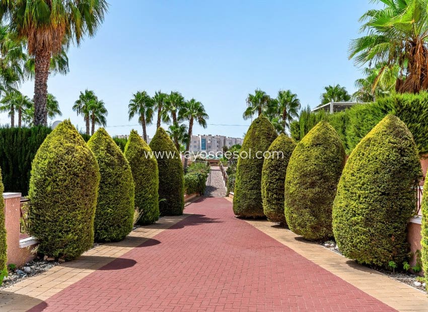 2 soveværelse Lejlighed til salg i Playa Flamenca med swimmingpool - € 215.000 (Ref: 10037607)