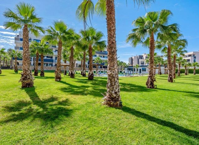 2 sovrum Lägenhet till salu i Los Altos med pool garage - 287 500 € (Ref: 10065687)