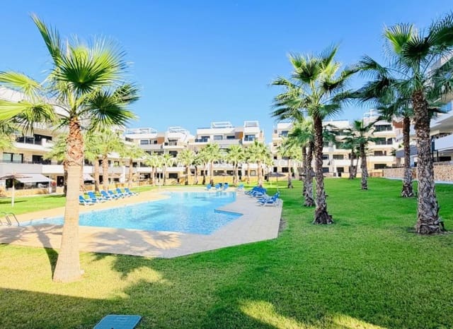 2 sovrum Lägenhet till salu i Los Altos med pool garage - 287 500 € (Ref: 10065687)