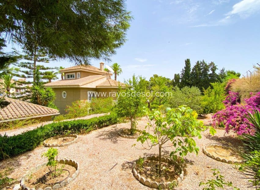 7 sovrum Villa till salu i Villamartin med pool - 1 080 000 € (Ref: 10076560)