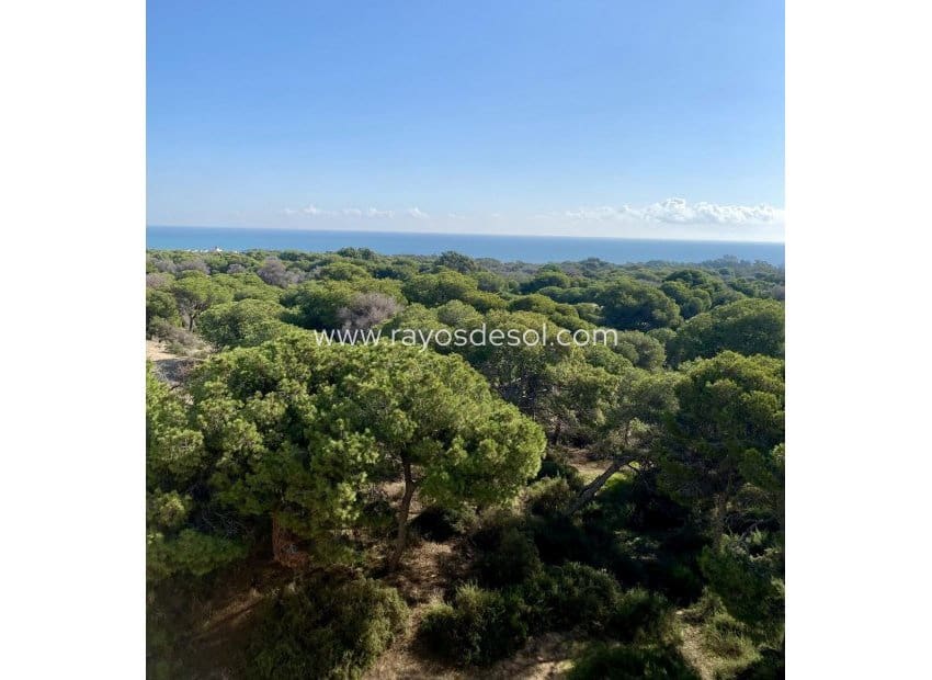 2 slaapkamer Penthouse te koop in Guardamar del Segura - € 555.000 (Ref: 10102974)