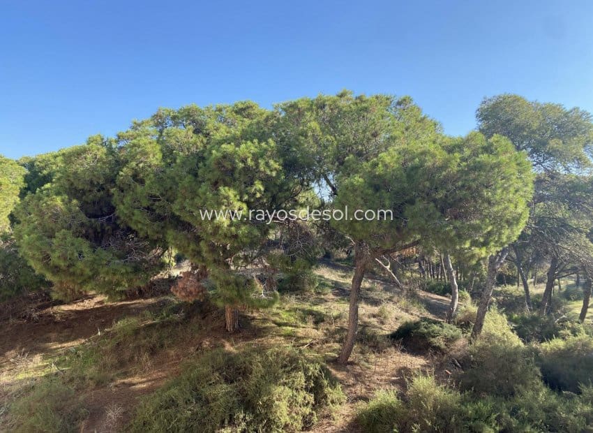 2 slaapkamer Penthouse te koop in Guardamar del Segura - € 555.000 (Ref: 10102974)