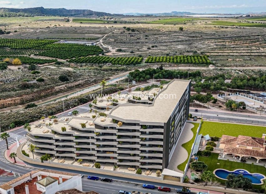 2 chambre Penthouse à vendre à San Miguel de Salinas avec piscine garage - 239 900 € (Ref: 10124694)