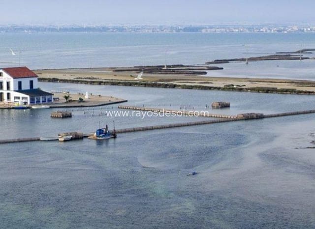 3 chambre Villa/Maison à vendre à San Pedro del Pinatar ciudad, San Pedro del Pinatar avec piscine - 539 950 € (Ref: 10132874)