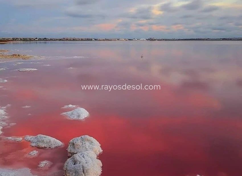 2 soveværelse Lejlighed til salg i Torrevieja med swimmingpool - € 305.000 (Ref: 8544034)