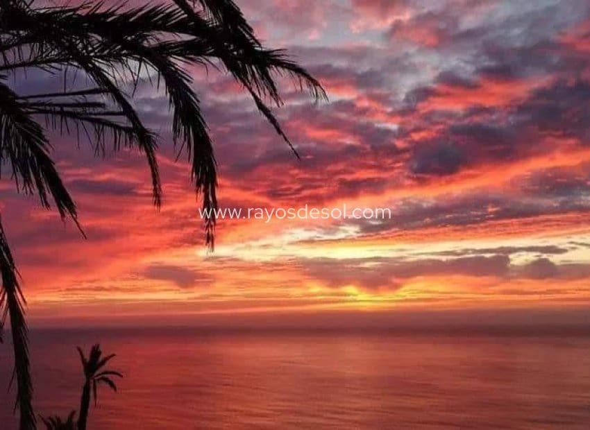 2 soveværelse Lejlighed til salg i Torrevieja med swimmingpool - € 263.900 (Ref: 8613005)