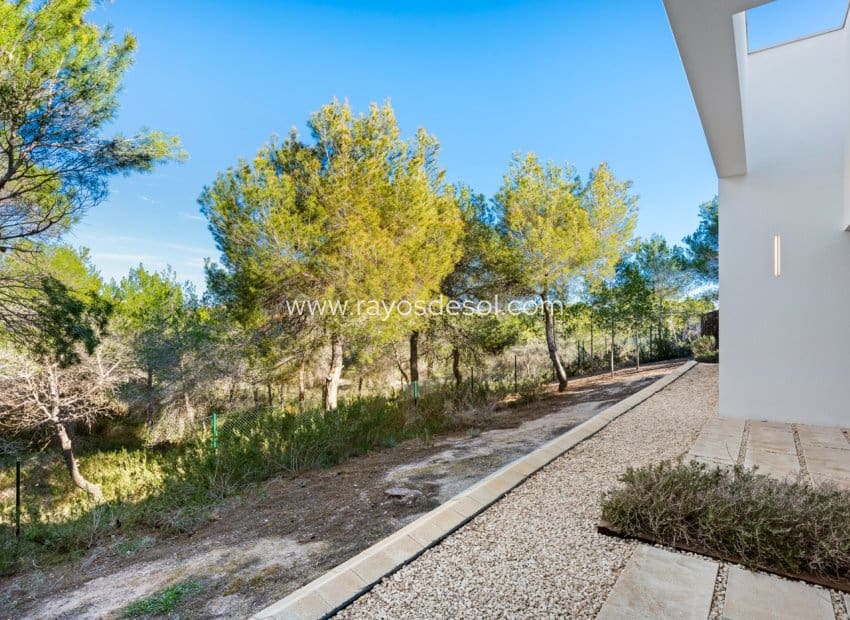 4 slaapkamer Villa te koop in Las Colinas Golf met zwembad - € 799.000 (Ref: 8779044)