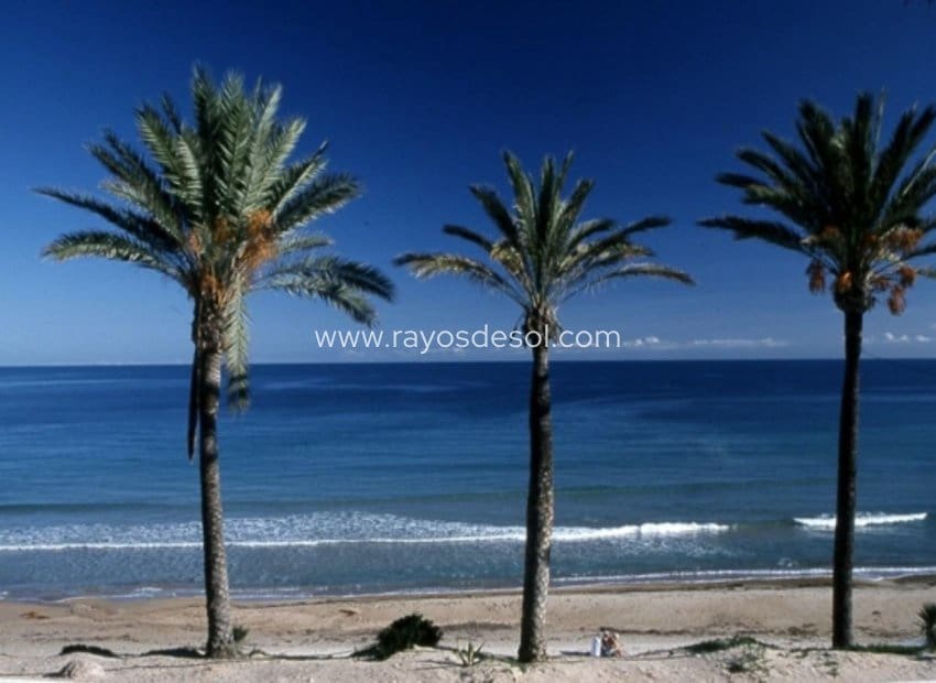 3 soveværelse Lejlighed til salg i Pilar de la Horadada med swimmingpool - € 270.000 (Ref: 8845178)