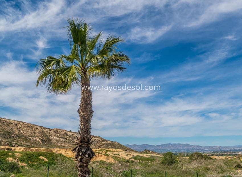 3 soveværelse Lejlighed til salg i Algorfa med swimmingpool - € 375.000 (Ref: 8941639)