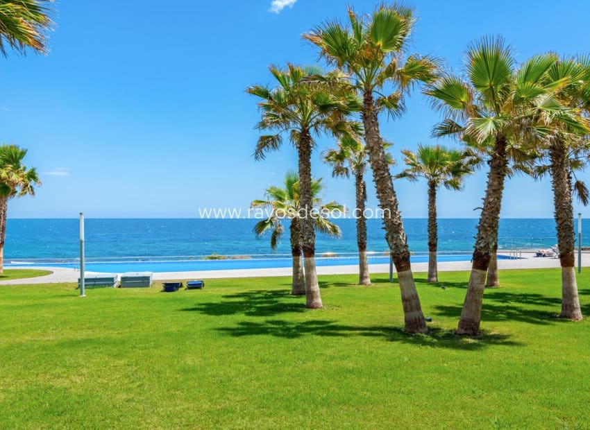 2 soveværelse Lejlighed til salg i Punta Prima med swimmingpool - € 509.995 (Ref: 9177103)